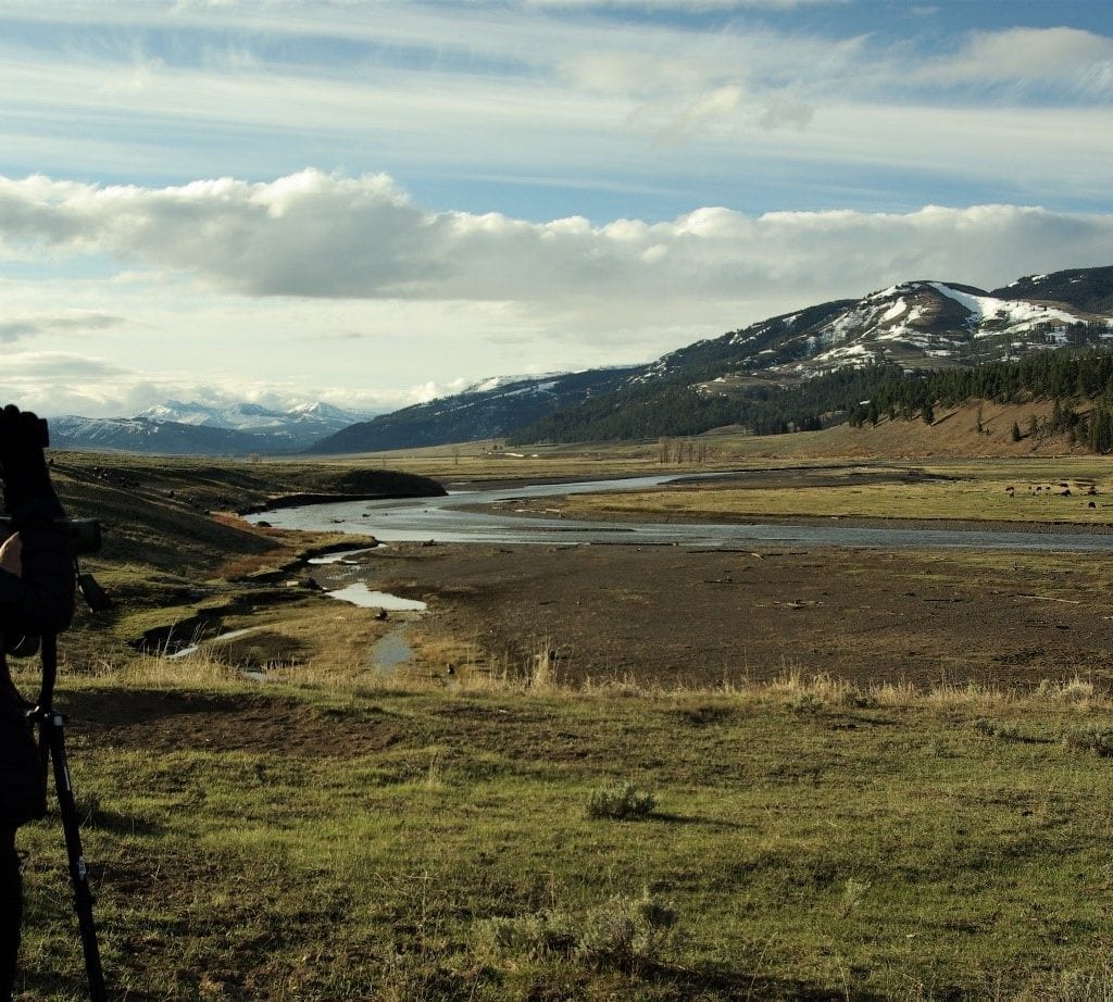 Lamar Valley