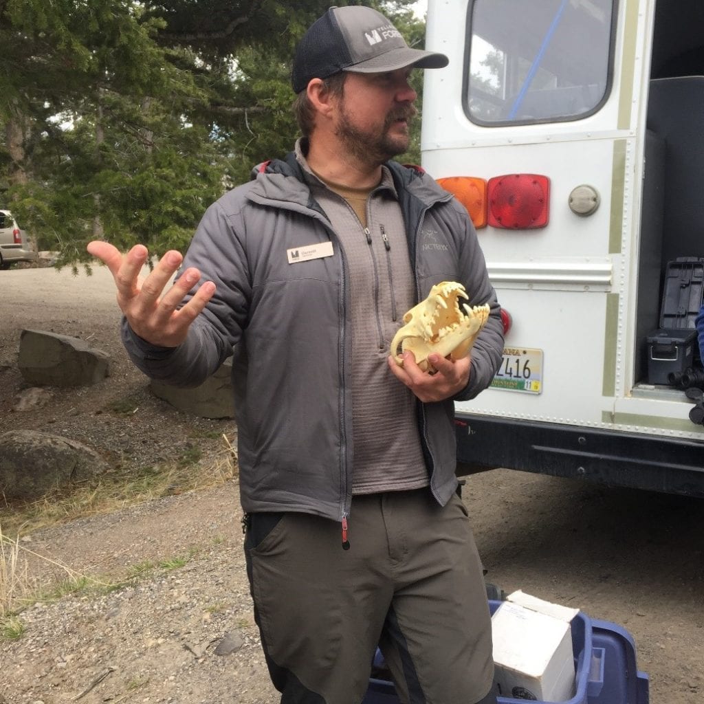 Garret Tovey, from the Yellowstone Forever Institute, discussing wolf biology