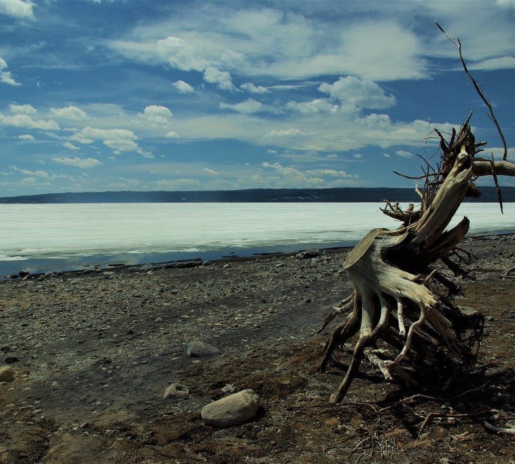 Yellowstone lake (still frozen)